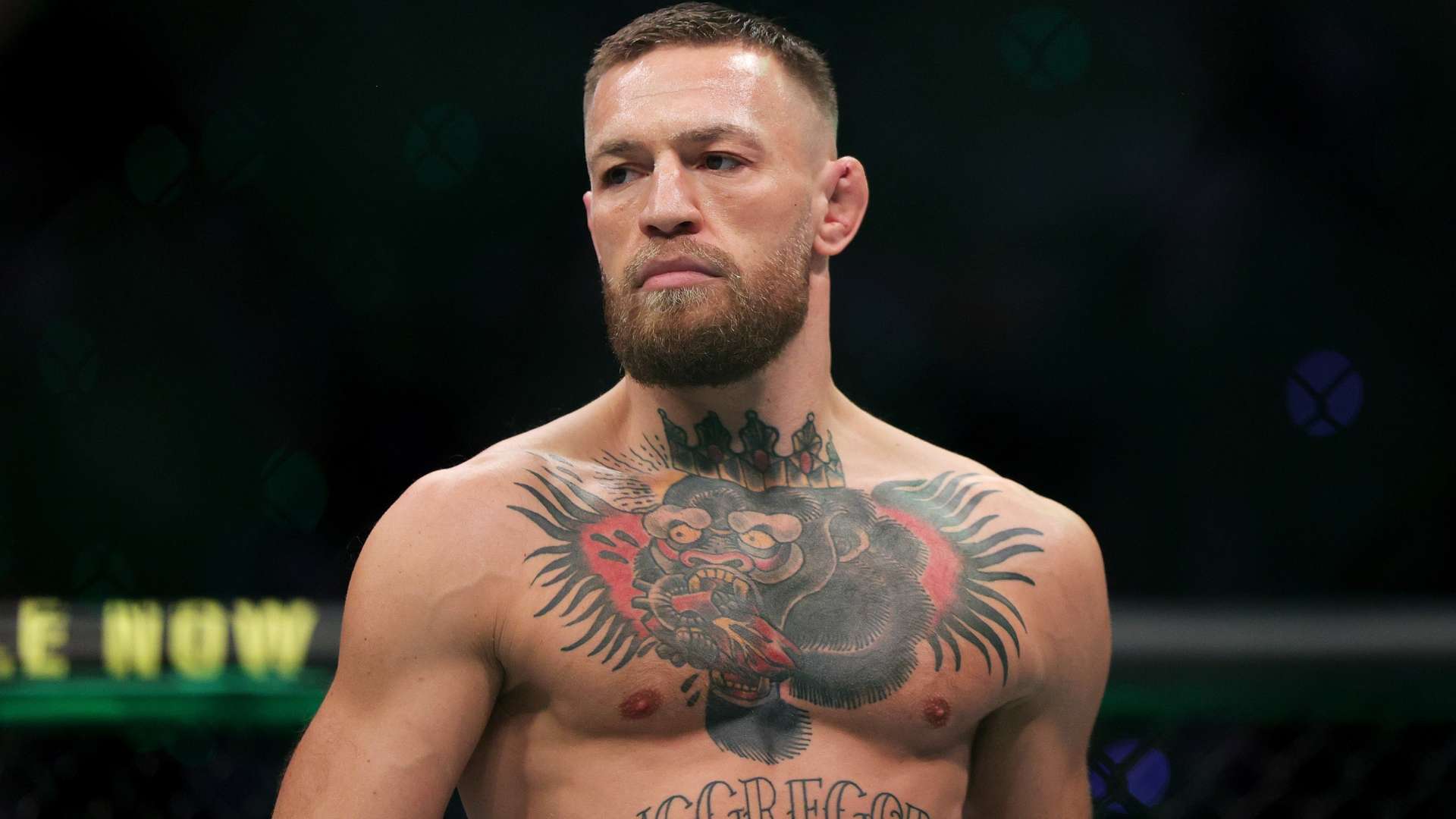 能够在关键 能够在关键