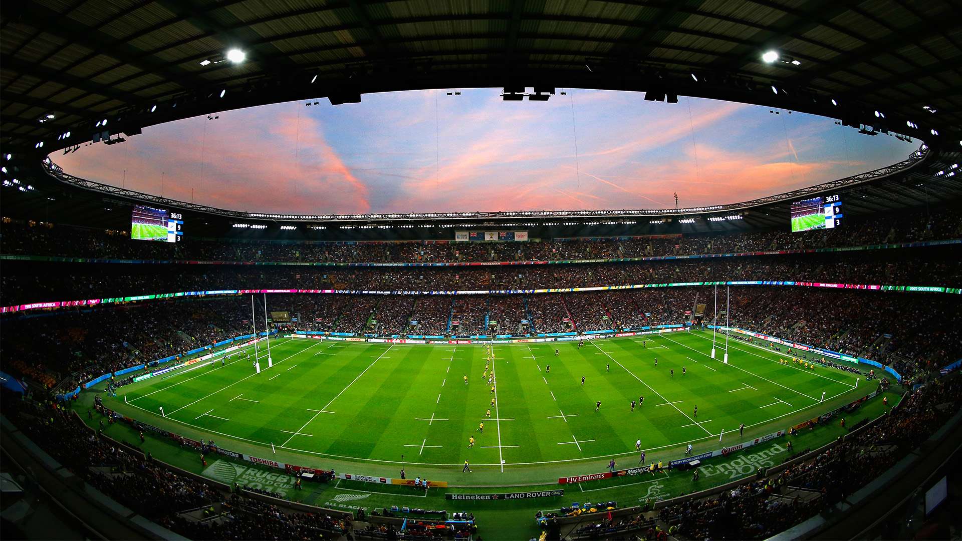 的精彩表现 的精彩表现