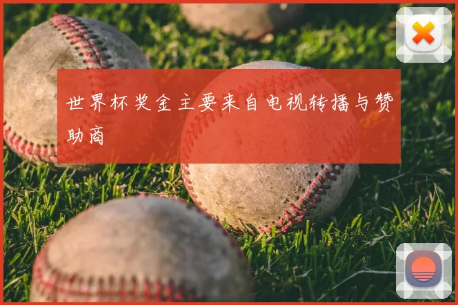 世界杯奖金主要来自电视转播与赞助商