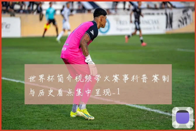 世界杯简介视频带火赛事科普 赛制与历史看点集中呈现_1