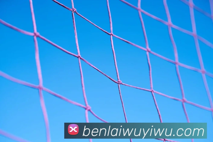 买球官方APP 封面图